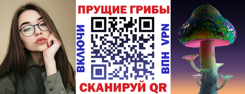 Галлюциногенные грибы MAGIC MUSHROOMS  дарнет шоп  Сергач 